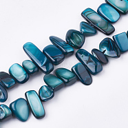Freshwater Shell Beads Strands, Dyed, Nuggets, Steel Blue, 6~25x4~14x3~7mm, Hole: 1mm, about 96~100pcs/strand, 31.4 inch(SHEL-S274-40B)