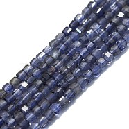 Natural Iolite Beads Strands, Faceted, Cube, 2x2x2mm, Hole: 0.6mm, about 182pcs/strand, 15.16''~15.55''(38.5~39.5cm)(G-P457-B01-35)