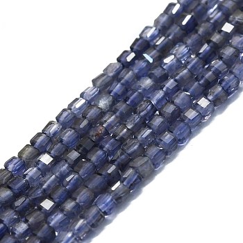 Natural Iolite Beads Strands, Faceted, Cube, 2x2x2mm, Hole: 0.6mm, about 182pcs/strand, 15.16''~15.55''(38.5~39.5cm)