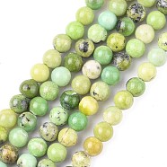 Natural Serpentine Beads Strands, Round, Green, 6mm, Hole: 1mm, about 63pcs/strand, 15.5 inch(G-N166-6)