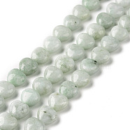 Natural Myanmar Jade/Burmese Jade Beads Strands, Heart, 10x10x6mm, Hole: 1mm, about 41pcs/strand, 15.55 inch(39.5cm)(G-C238-15)