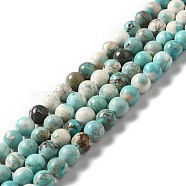 Natural Howlite Beads Strands, Dyed & Heated, Round, Turquoise, 6~6.5mm, Hole: 1.2mm, about 65pcs/strand, 15.63''(39.7cm)(X-G-L555-02B-02)