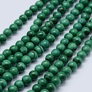 Natural Malachite Beads Strands, Grade AB, Round, 5mm, Hole: 0.7mm, about 80pcs/strand, 15.5 inch(39.5cm)(G-F571-27AB1-5mm)