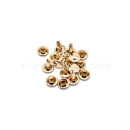 Brass Rivets, with Screw, for Purse Handbag Shoes Punk Rock Leather Craft Clothes Belt, Golden, 7x7mm(PW-WG2BECC-19)