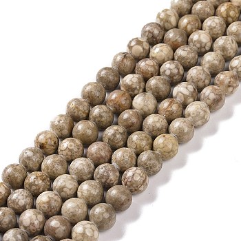 Natural Maifanite/Maifan Stone Beads Strands, Round, 10mm, Hole: 1mm, about 38pcs/strand, 15.1 inch(38.4cm)
