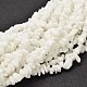 Chip Opaque Glass Beads Strands(G-L454-03)-1