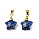 Natural Lapis Lazuli Charms(G-N326-142-02)-1