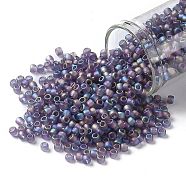 TOHO Round Seed Beads, Japanese Seed Beads, (166DF) Transparent AB Frost Light Tanzanite, 8/0, 3mm, Hole: 1mm, about 1110pcs/50g(SEED-XTR08-0166DF)