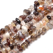 Natural Botswana Agate Chip Beads Strands, 4~14x4~12mm, Hole: 1mm, about 15.3 inch~16.1 inch(X-G-E271-104)