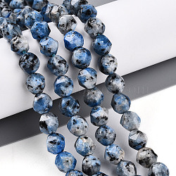 Dyed Natural Sesame Jasper Beads Strands, Faceted, Star Cut Round Beads, Steel Blue, 7~8x6~7.5x6~7.5mm, Hole: 1mm, about 48~49pcs/strand, 14.17~15.35''(36~39cm)(G-T139-8mm-47I)