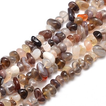 Natural Botswana Agate Chip Beads Strands, 4~14x4~12mm, Hole: 1mm, about 15.3 inch~16.1 inch