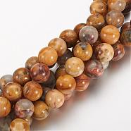 Natural Crazy Lace Agate Round Bead Strands, 8mm, Hole: 1mm, about 24pcs/strand, 7.5 inch(G-M272-03-8mm)