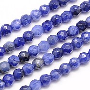 Natural Sodalite Beads Strands, Faceted, Round, Blue, 4mm, Hole: 1mm, about 95pcs/strand, 15.35 inch(G-G545-16)