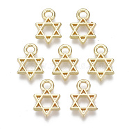 Alloy Charms, for Jewish, Star of David, Light Gold, 12x8x1.5mm, Hole: 2mm(PALLOY-S132-084)