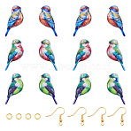 DIY Jewelry Making Kits, Including 6Sets Bird Transparent Epoxy Resin Pendants, 12Pcs Brass Earring Hooks and Jump Ring, Mixed Color, 30x13x2.5mm, Hole: 1.2mm(DIY-TA0013-89)