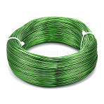 Anodized Aluminum Wire, Bendable Metal Craft Wire, Flexible Craft Wire, for Beading Jewelry Craft Making, Lime Green, 22 Gauge, 0.6mm, 280m/250g(918.6 Feet/250g)(AW-S001-0.6mm-25)