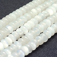 Natural White Moonstone Beads Strands, Rondelle, 8x4~5mm, Hole: 1mm, about 86pcs/strand, 15.3 inch(39cm)(G-P342-03-8x4mm)