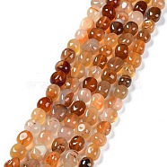 Natural Red Agate Beads Strands, Dyed & Heated, Nuggets Tumbled Stone, 6.5~15x7~14x7~14mm, Hole: 1~1.4mm, about 32~33pcs/strand, 15.16~ 15.75 inch(38.5~40cm)(G-C038-02C)