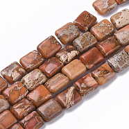 Natural Imperial Jasper Beads Strands, Dyed, Rectangle, Chocolate, 10~11x8~9x4~5mm, Hole: 1.4mm, about 38~42pcs/Strand, 15.55 inch~16.14 inch(39.5~41cm)(G-S355-89A)
