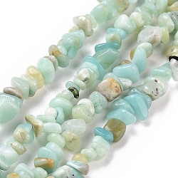 Natural Amazonite Chips Beads Strands, 5~8x5~8mm, Hole: 1mm, about 31.5 inch(G-M205-12B)