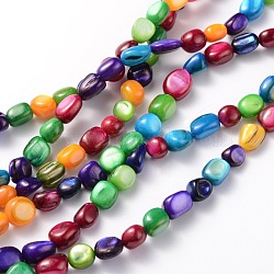 Natural Shell Beads Strands, Dyed, Amorphous, Mixed Color, 5~10x4~9x5mm, Hole: 0.7~0.9mm, 47pcs/strand, 15 inch(BSHE-D004-7)