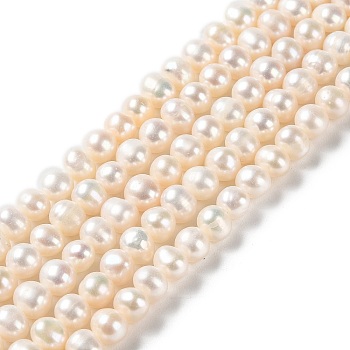 Natural Pearl Beads Strands, Round, Grade 3A, WhiteSmoke, 6~7x6~7mm, Hole: 0.6mm, about 59pcs/strand, 14.25~14.37 inch(36.2~36.5cm)