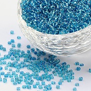 (Repacking Service Available) 12/0 Glass Seed Beads, Silver Lined Round Hole, Round, Sky Blue, 2mm, Hole: 1mm, 12G/bag(SEED-C014-2mm-23B)