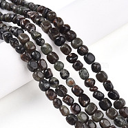 Natural Biotite Beads Strands, Nuggets, Tumbled Stone, 3.5~8.5x4.5~7.5x4.5~7.5mm, Hole: 0.7mm, about 53~60pcs/strand, 14.96~15.55 inch(38~39.5cm)(G-N346-04A-02)