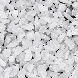 Natural White Jade Chip Beads, No Hole/Undrilled, 2~8x2~4mm, about 8500pcs/500g(G-O103-16)