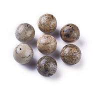 Natural Picture Jasper Beads, Round, 15.5~16.5mm, Hole: 1mm(G-G790-12A)