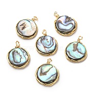 Natural Abalone Shell/Paua Shell Pendants, Copper Wire Wrapped Flat Round Charms, Real 14K Gold Plated, 17.5~18.5x14x3mm, Hole: 1.6mm(G-K341-16G)
