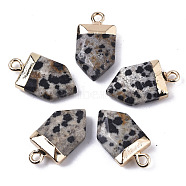 Natural Dalmatian Jasper Pointed Pendants, with Light Gold Plated Top and Brass Loop, Arrow, Faceted, 19x10.5x4.5mm, Hole: 1.8mm(X-G-N326-34D)