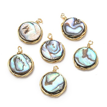 Natural Abalone Shell/Paua Shell Pendants, Copper Wire Wrapped Flat Round Charms, Real 14K Gold Plated, 17.5~18.5x14x3mm, Hole: 1.6mm