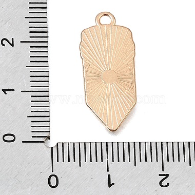 Alloy Enamel Pendants(AL-CBA7D73-01KCG)-3
