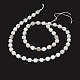 Brins de perles de pierre de lune arc-en-ciel naturel(G-O201B-16)-2