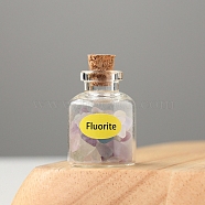 Natural Fluorite Display Decorations, Reiki Energy Stone Chip Wishing Bottle, 20x30mm(DJEW-PW0009-013H)