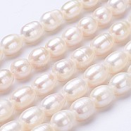 Natural Cultured Freshwater Pearl Beads Strands, Rice, Linen, 10~11x7~8mm, Hole: 0.5mm, about 38~39pcs/strand, 14.5 inch(PEAR-P002-13-01)