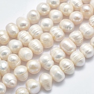Natural Cultured Freshwater Pearl Beads Strands, Potato, Beige, 12~14x10.5~11mm, Hole: 0.8mm, about 35pcs/strand, 14.3 inch.(PEAR-K003-09A-01)