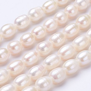 Natural Cultured Freshwater Pearl Beads Strands, Rice, Linen, 10~11x7~8mm, Hole: 0.5mm, about 38~39pcs/strand, 14.5 inch