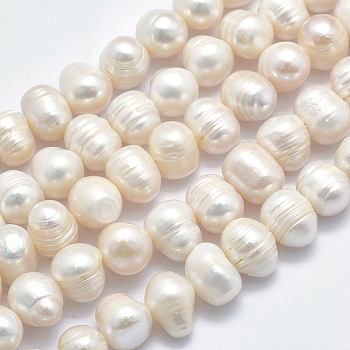 Natural Cultured Freshwater Pearl Beads Strands, Potato, Beige, 12~14x10.5~11mm, Hole: 0.8mm, about 35pcs/strand, 14.3 inch.