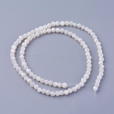 Shell Beads Strands(SSHEL-E571-39-4mm)-2