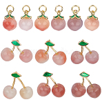 12Pcs 2 Styles Natural Agate Peach and Cherry Pendants, with Golden Tone Brass Findings, 14~15x10~16.5x8~10mm, Hole: 1.5~3.4x2~3.4mm, 6pcs/style(G-OC0005-92)