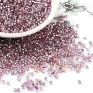 Glass Seed Beads, Silver Lined, Cylinder, Plum, 2x1.5mm, Hole: 1.4mm, about 50398pcs/pound(SEED-S042-04B-15)