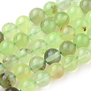 Natural Prehnite Beads Strands, Round, 8~8.5mm, Hole: 1mm, about 47~48pcs/strand, 15.7 inch(40cm)(X-G-I250-01D)