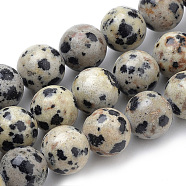 Natural Dalmatian Jasper Beads Strands, Round, 8mm, Hole: 1mm, about 47pcs/strand, 15.7 inch(X-G-S259-24-8mm)