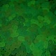 Luminous Transparent Acrylic Beads(LACR-D009-01J)-3