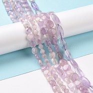 Natural Amethyst Beads Strands, Mixed Shapes, 6~16x6~10x4~6mm, Hole: 0.8mm, about 26~65pcs/strand, 15.55~15.75(39.5~40cm)(G-C238-35)