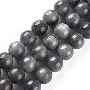 Natural Black Labradorite Beads Strands, Grade AB+, Round, 8mm, Hole: 1mm, about 45~48pcs/strand, 15.3 inch(G-S333-8mm-021B)