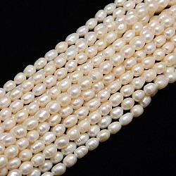 Grade A Natural Cultured Freshwater Pearl Beads Strands, Rice, Creamy White, 6~8x5~6mm, Hole: 0.8mm, about 48pcs/strand, 13.77 inch~14.17 inch(PEAR-L001-B-03)