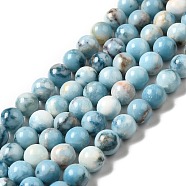 Natural Gemstone Beads Strands, Imitation Larimar, Dyed, Round, Sky Blue, 8~8.5mm, Hole: 1.2mm, about 48pcs/strand, 15.39 inch(39.1cm)(G-F730-02B)
